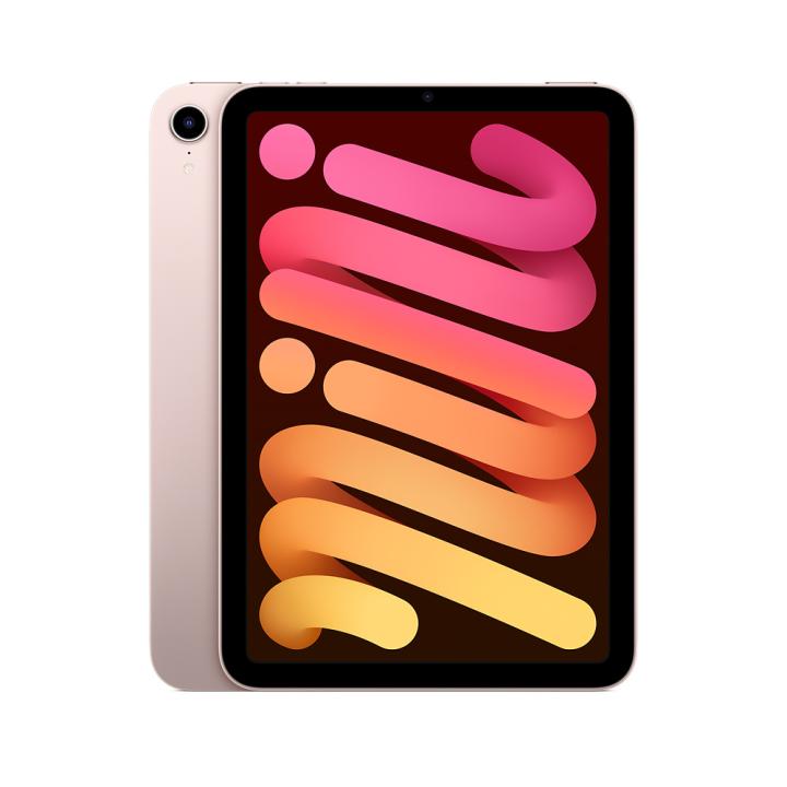 iPad Mini 2021 6th Gen (Wi-Fi + Cellular)